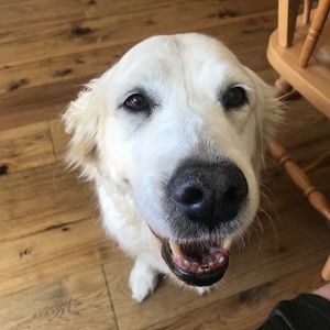 Meet your Posher, Sean